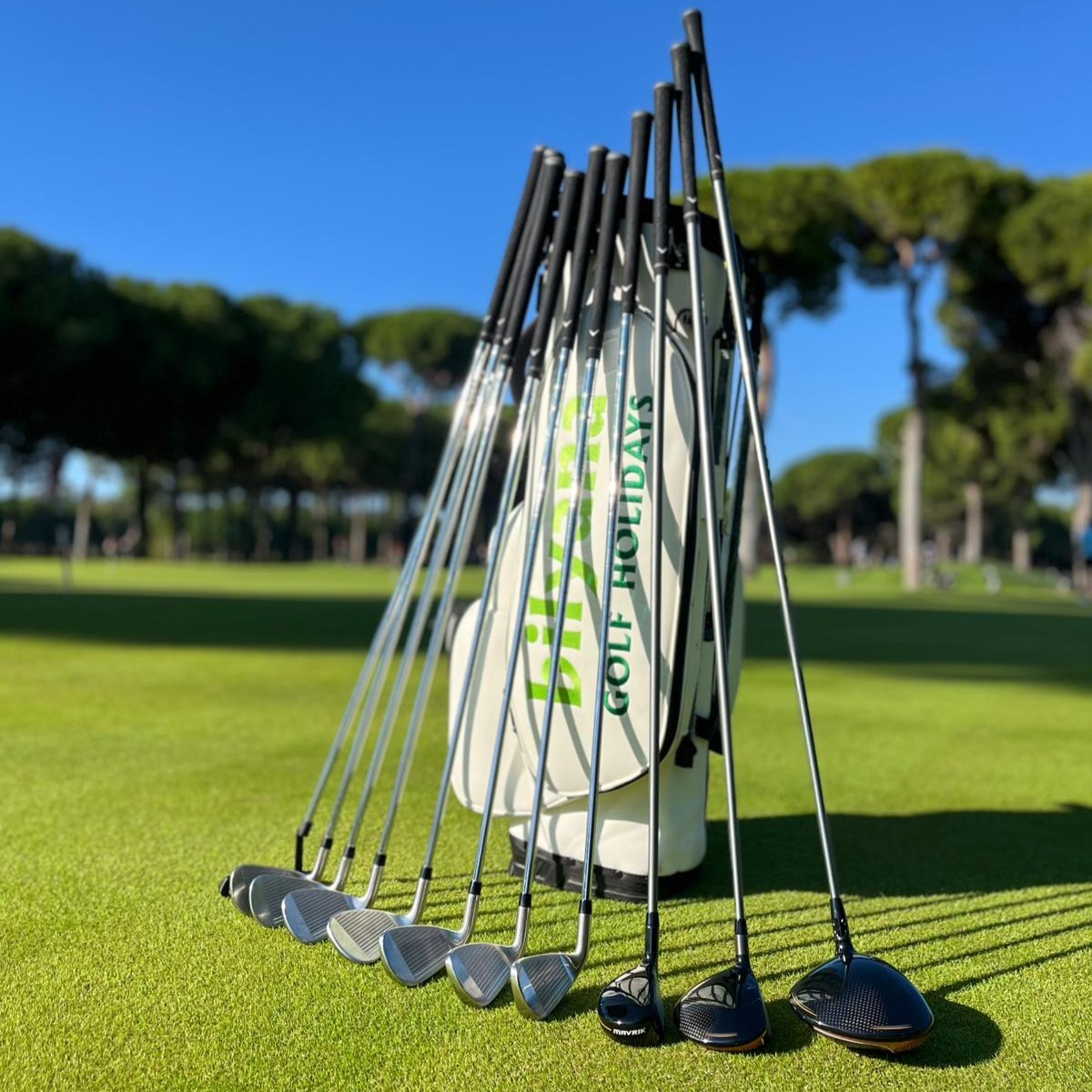 https://paymentq.bilyanagolf.com/files/imaj/clubhire1.jpg